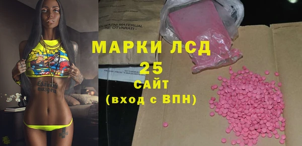 СК Дедовск