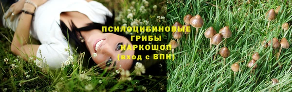 таблы Михайловск