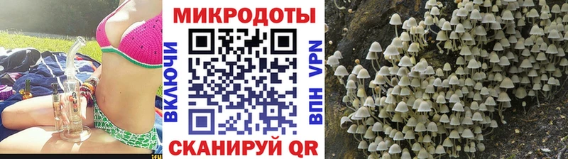 Галлюциногенные грибы мицелий  Задонск 